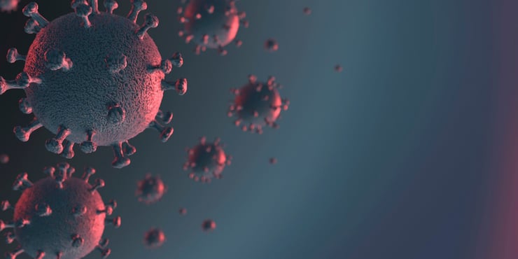 Image of Virus Cells