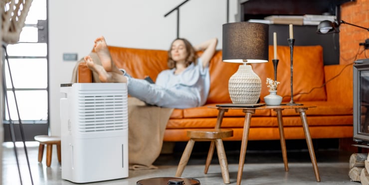  Woman sitting near sofa with an air purifier